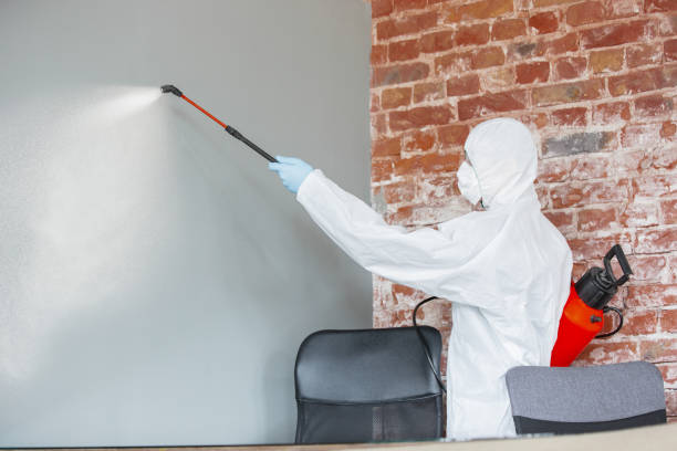 Best Comprehensive Air Testing for Mold Contaminants  in Indialantic, FL