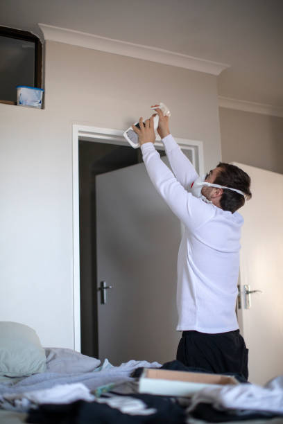 Best Mold Remediation for Rental Properties  in Indialantic, FL