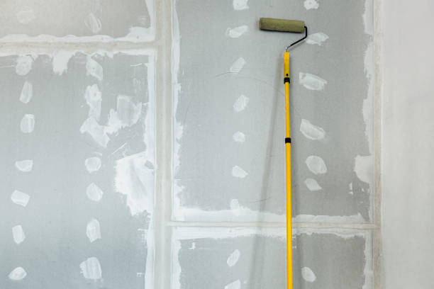 Best Industrial Mold Remediation  in Indialantic, FL