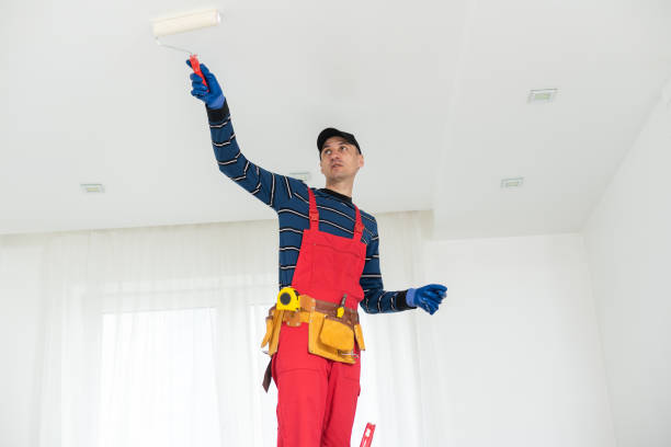 Best Basement Mold Removal  in Indialantic, FL